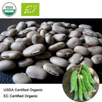 USDA și CE Certificate Organic Mucuna Pruriens extract de 20：1