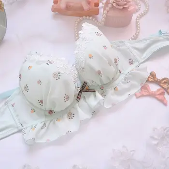 Coreea Drăguț Push-Up Sutien si Chilot Set Lenjerie Femei Lingeire Plus Dimensiune Japoneze Fete Sexy Lace Underwire Sutien Curea Seturi 2020