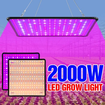 220V Fito Crească Lampa 2000W Răsad Fito Lămpi Spectru Complet Panou cu LED-uri Lumina de Crestere cu efect De Seră CONDUS Plante Lumini 2835 Cip