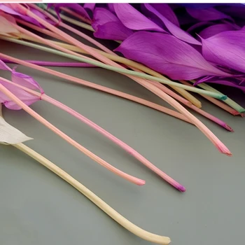 Conservate Natura Flori 5pcs/40cm de Portocale Uscate Frunze Buchet pentru DIY Căsătorie Nunta Petrecere Branch Road Eternell Florale Decor