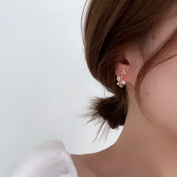 Coreeană Seul cercei de sex feminin nișă sens de design vânt rece temperament all-meci zircon cristal pearl cercei cercei