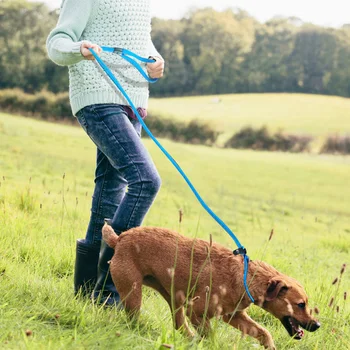 Câine P lanț coarda de tracțiune cu lanț de câine mici și mijlocii mare câine de mers pe jos de câine coarda consumabile pentru animale de companie de tracțiune integrat