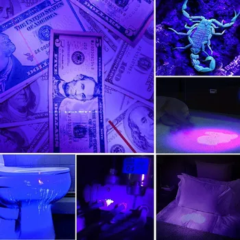 LED Lanterna UV Ultraviolete Lanterna Cu Zoom Mini UV Lumină Neagră de Companie Petele de Urină Detector Scorpion Vânătoare