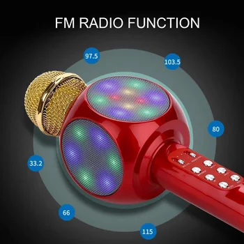 Besegad Wireless Karaoke Microfon Difuzor Portabil Bluetooth Built-in Lumini cu LED-uri Radio FM pentru iOS, Android Telefon, Tableta, Laptop