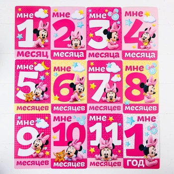 Un set de cărți pentru sedinte foto, Minnie Mouse, 12 x 8 cm Decor