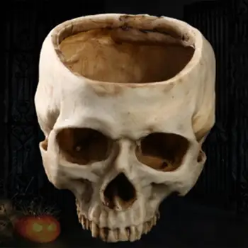 Rasina De Artizanat Dinte Uman Craniu Fosil De Predare Model De Schelet Halloween Biroul De Acasă Ghiveci Ghiveci Craniu Oală Decor