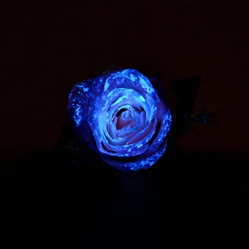 20g Albastru Inchis Vopsea Luminos Glow în Întuneric Fluorescente de Acoperire pentru Petrecerea de Halloween Decoratiuni Unghii