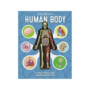 Anatomice Umane Trunchiului Corpului Model Educațional Imagine 3D Structura Corpului Uman Cartea Anatomia Organelor Interne Medicale de Predare Mucegai