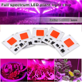 【3 buc】Borbede LED COB Chip Pentru a Creste Plante de Lumină Plină de Spectru 10W 220V 30W 50W Fito Lampa Pentru Plante de Interior