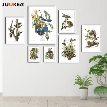 John James Audubon America de Păsări de Colectare HD de Înaltă Calitate, Canvas Art Print Tablou Poster grup de Poze de Perete Decor Acasă