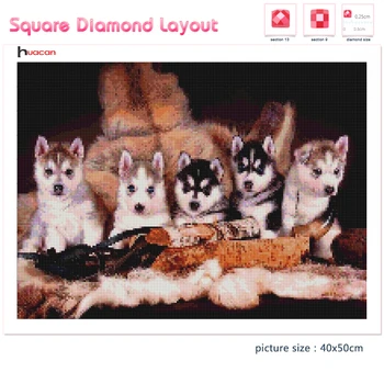 Huacan Diamant Pictura Noii Veniți Câine Mozaic Husky Acasă Decor Broderie Animal Diamant Arta Handmade Cadou