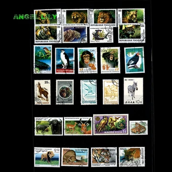 200 BUC NU Repetiton Subiect Animal Sălbatic Neutilizate Timbre Poștale , timbre poștale Cu timbru De Colecție 200