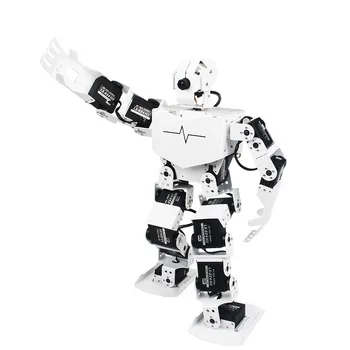 2020 Asamblate 18DOF Vizuale Robot Umanoid Robot Programabil TonyPi Terminat cu Placa de baza pentru Zmeura