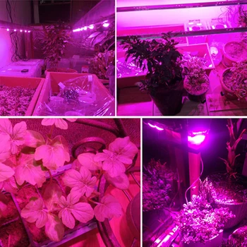 LED cresterea plantelor lampa COB 30W 50W 80W AC110V 220V spectru complet 380-780mm cu efect de seră hidroponică plantarea de flori rezistent la apa
