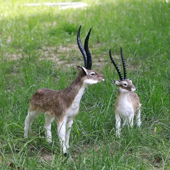 Zilin simulat antilopă / vii antilope model cu două dimensiuni pentru opțiune