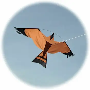 Emulare Zbor De Șoim Pasăre Sperietoare Conduce Pasăre Zmeu Acasa Grădină Sperietoarea Curte Briza Ușor De Fly Bird Repeller