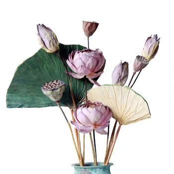1buc Zen Chinez naturale uscat lotus flori uscate