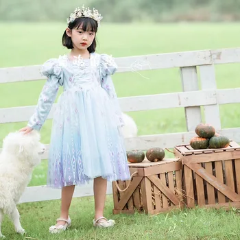 Fete Aisha rochie 2020 nou pentru copii alba ca zapada stil occidental ziua puffy rochie plasă de rochie de printesa
