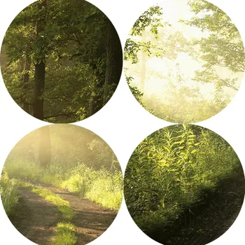 Panza Tablou Peisaj de Postere si Printuri Natura Verde Pădure, Copaci Arta de Perete Imaginile pentru Camera de zi Cuadros Decor Acasă