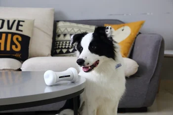 Telefon Controlate Electric Animale De Companie Jucărie Wickedbone Inteligent Și Interactiv De Câine Jucării