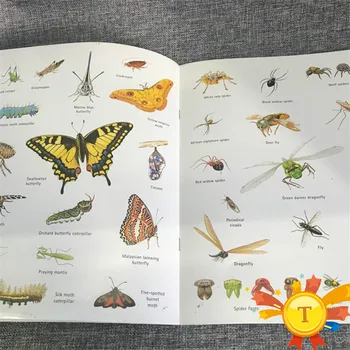 Dinozaur Autocolant Cărți pentru Copilul Sprijinindu-se de limba engleză Carte Poveste cu Autocolante Reutilizabile Preșcolari de Învățare Timpurie Jucărie de Învățământ