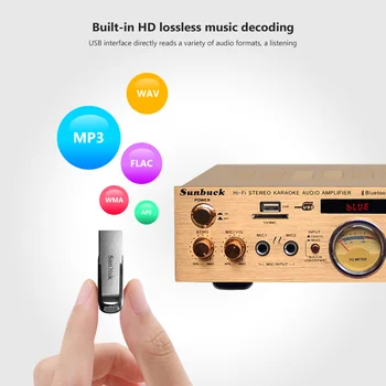 Bluetooth AV Putere Amplificator Audio de Bord 100Wx2 Amp Stereo de Acasă de Sunet Profesionale Amplificator Auto Dual MICROFON USB SD FM Amplificador
