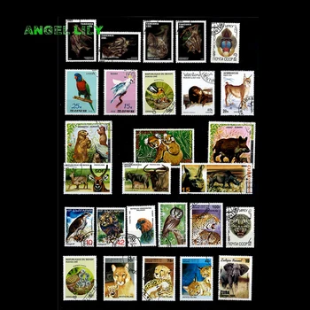 200 BUC NU Repetiton Subiect Animal Sălbatic Neutilizate Timbre Poștale , timbre poștale Cu timbru De Colecție 200