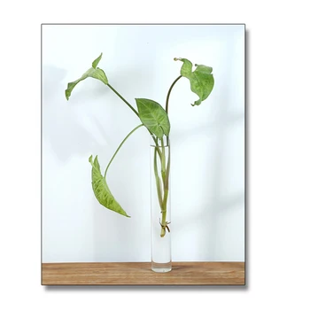 1 Set Vaza De Sticla Tub Formă Clară De Flori De Sticla Cu Lemn, Raft Din Lemn Sta Hidroponice Recipient De Sticlă Decor Acasă Ornament