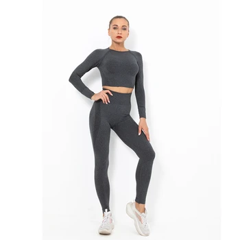 2020 Nou Fără Sudură 2 Bucata Femei Yoga Set Sport Îmbrăcăminte De Fitness Jambiere+Trunchiate Tricouri Sport Costum Cu Maneci Lungi De Trening Active Noi