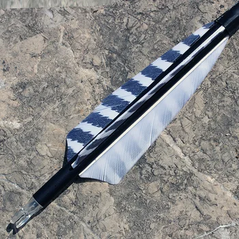 12Pcs 31.5 Cm de Carbon Arrow 600 coloanei Vertebrale OD 7,8 mm Pene de Curcan tir cu Arcul săgeți Pentru Arc și săgeți pentru adulți Vânătoare