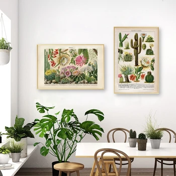 Flori de Cactus Poster Deșert Plante Suculente Panza Pictura Postere si Printuri Botanică Învățământ Arta de Perete Imagini