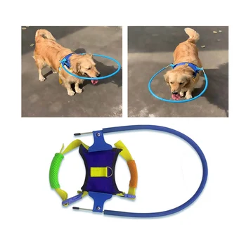Animale de companie în condiții de Siguranță Halo Ham Pentru Orbi Câini Orb de Companie Anti-coliziune Inel Scorpion Cataractă de Protecție a Animalelor Cerc Câine Ghid Cablajului