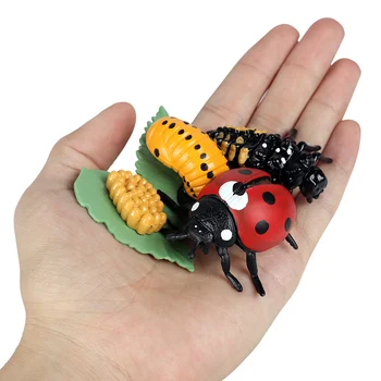 Oenux Simulare Insecte Șapte pete Lady Beetle Animale de Creștere a Ciclului de Model Figurine in Miniatura Educative pentru Copii Jucarii Cadou