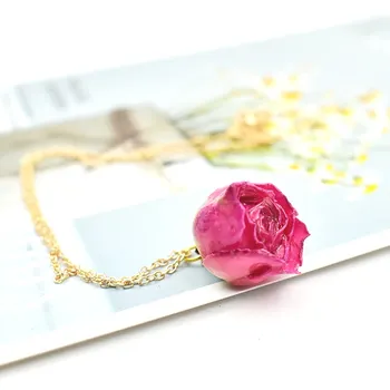 1 BUC Uscat Floare Colier de Lanț de Aur Real a Crescut Cu Rasina Personalizate Personalizate Colier Pentru Femei