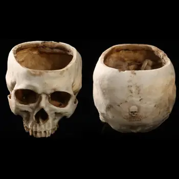 Rasina De Artizanat Dinte Uman Craniu Fosil De Predare Model De Schelet Halloween Biroul De Acasă Ghiveci Ghiveci Craniu Oală Decor