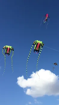 Transport gratuit moale mare zmeu zbor trilobit zmee pentru adulți ripstop nylon zmeu moriști cometa latawiec koi moscas caracatiță