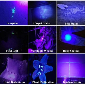 100W Lanterna UV 100 Led-uri 395nm UV Lanterna LED-uri Spate Detector de Lumina pentru Câine Urină de Pisică, animale de Companie Pete, Bug-uri de Pat, Scorpioni 6 x AA