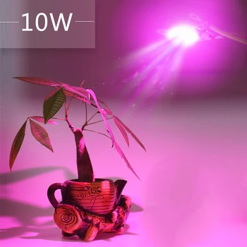 【3 buc】Borbede LED COB Chip Pentru a Creste Plante de Lumină Plină de Spectru 10W 220V 30W 50W Fito Lampa Pentru Plante de Interior