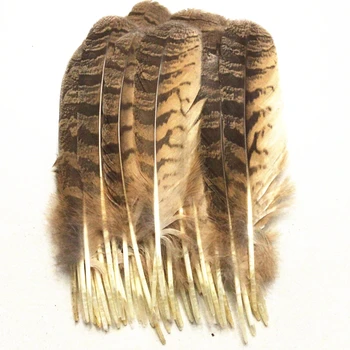 10buc Rare Bufniță Vultur 10-12 țoli/25-30cm Naturale Pene de Vultur pentru Meserii de luare de bijuterii Decorative Diferite Plumas Pene