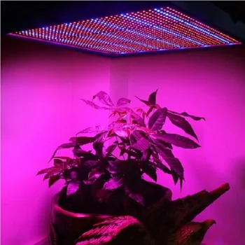 120W 200W Estompat LED-uri Cresc de Lumină a Plantelor Lampa SMD3528 Red Led Albastru Fitolamp pentru Interior, Seră de Flori Fructe Legume cu efect de Seră