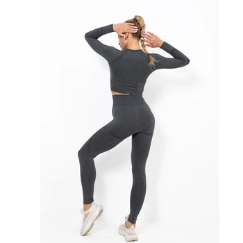 2020 Nou Fără Sudură 2 Bucata Femei Yoga Set Sport Îmbrăcăminte De Fitness Jambiere+Trunchiate Tricouri Sport Costum Cu Maneci Lungi De Trening Active Noi