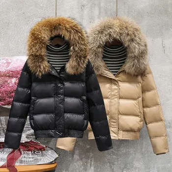 Alb Rață Donw Jacheta Palton Pentru Femei De Iarnă Se Ingroase Îmbrăcăminte Exterioară Cald 2019 Noua Moda Cu Gluga Pălărie Real Guler De Blană Scurte, Paltoane
