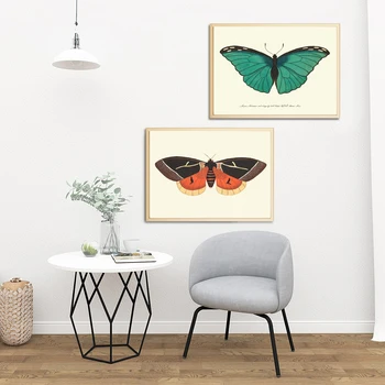 Arta de perete Imprimă doar dă-i Antic Fluture Insecte Illustratio Panza Pictura pe Perete Poza de Învățământ Poster Grădiniță Decor