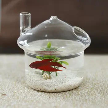 Ciuperci-Agățat în formă de Sticlă de Plantat Vaza Rumble Fish Tank Terariu Recipient Acasă Decor Gradina