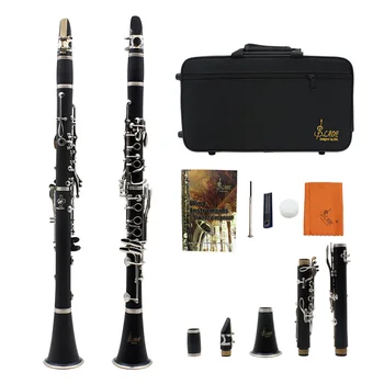 SLADE 17 Cheie Clarinet care se Încadrează Ton B Soprana Nichel Placare cu Instrumente Muzicale Profesionale, Instrumente de Suflat din lemn