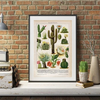 Flori de Cactus Poster Deșert Plante Suculente Panza Pictura Postere si Printuri Botanică Învățământ Arta de Perete Imagini