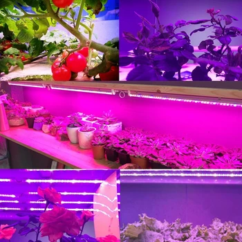 ReBlue Lampa Pentru Plante Led-uri Cresc Light Fito Lampa 12W T5 Plant Lampa cu Spectru Complet Crească cu Led-uri Pentru Plante Răsad Fito-Lampa interior