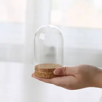 Mini Sticlă Clară Display Stand Artizanat Emisfera Acoperi Cu Lemn De Plută Baza Bell Jar Acoperi Decor De Masă Cadou Accesorii