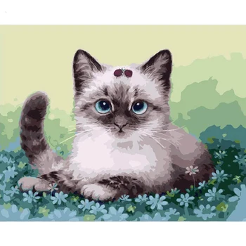 Pisica drăguț Animal DIY Pictură Digitală De Numere de Arta de Perete Moderne Panza Pictura Cadou Unic Decor Acasă 40x50cm