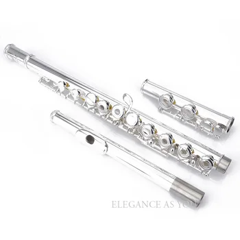 Transport gratuit C flaut profesională 17 gauri profesionale C flaut,deschide-gaură Și a Închis-gaura E cheie de argint placat cu C ton acoperi caz